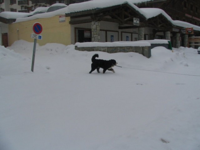 Smučanje v Franciji, 4. - 11.3. 2006 - foto