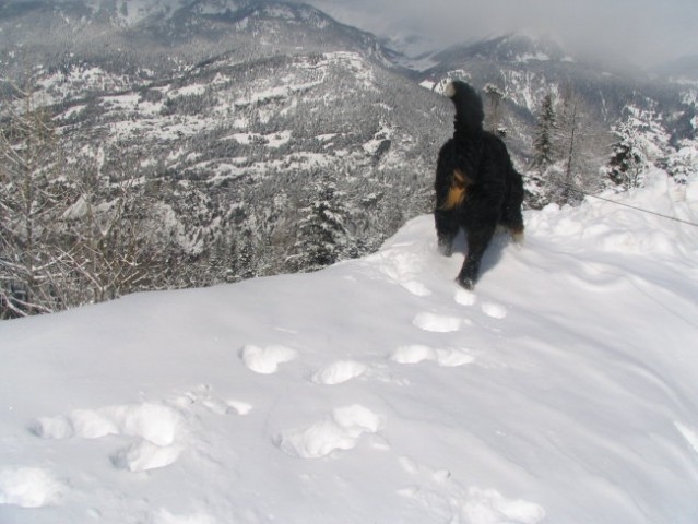 Smučanje v Franciji, 4. - 11.3. 2006 - foto