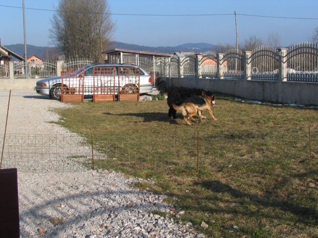 Sprehod z Eto, 19.3.2006 - foto povečava