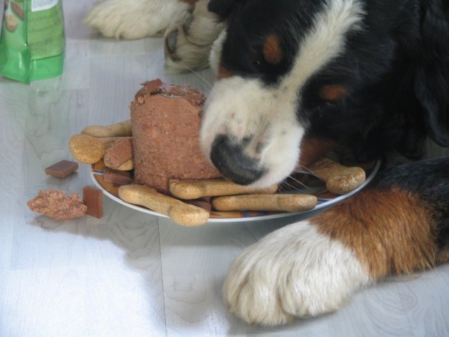 Athosov 1. rojstni dan, 4.5.2006 - foto povečava