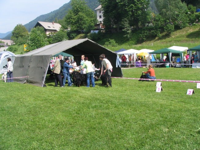 Hrušica, 28.5.2006 - foto povečava