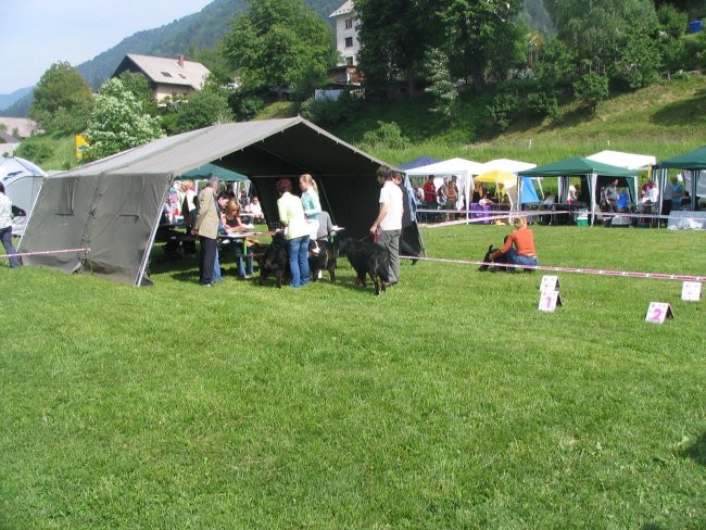 Hrušica, 28.5.2006 - foto povečava