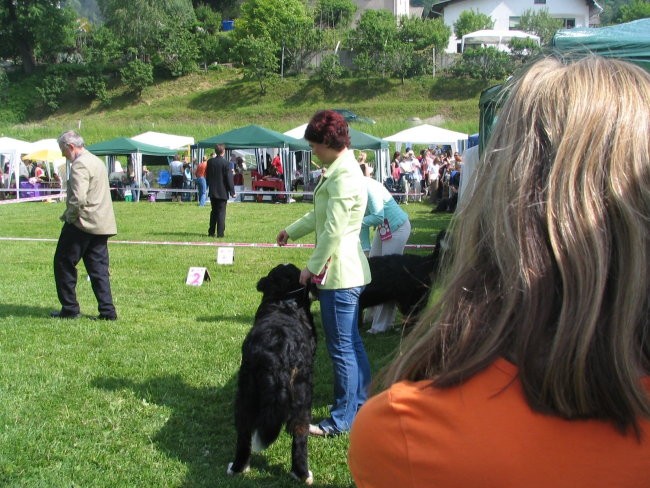 Hrušica, 28.5.2006 - foto povečava