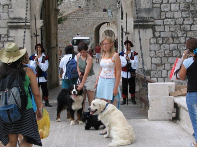 Razstava in dopust v Črni gori - foto