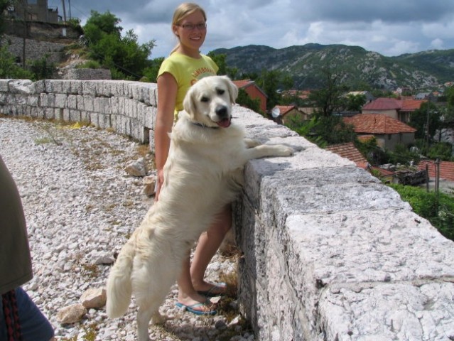 Razstava in dopust v Črni gori - foto