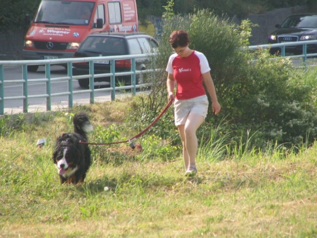 Razstava in dopust v Črni gori - foto