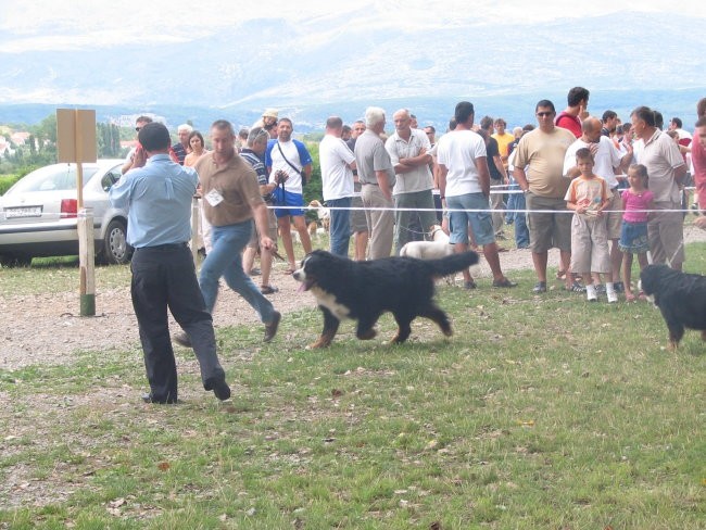 Sinj 2006 - foto povečava