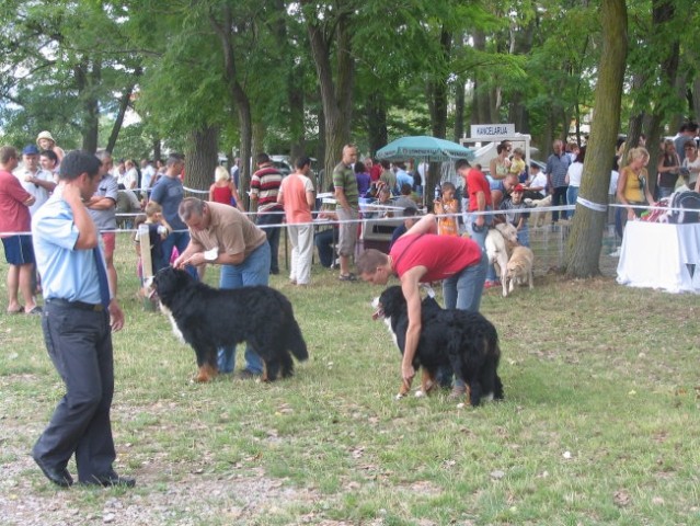 Sinj 2006 - foto