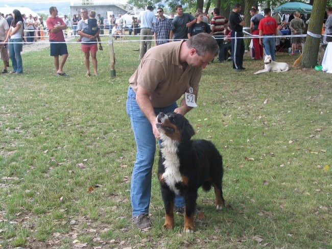 Sinj 2006 - foto povečava