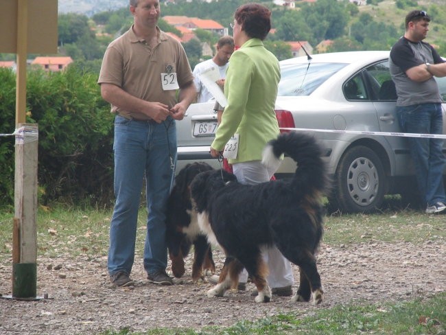 Sinj 2006 - foto povečava