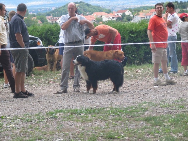 Sinj 2006 - foto povečava