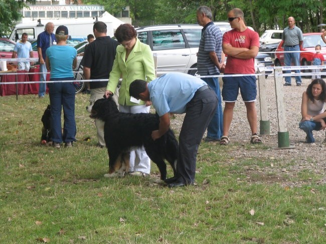 Sinj 2006 - foto povečava