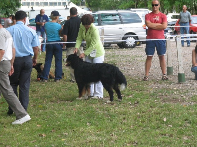 Sinj 2006 - foto povečava