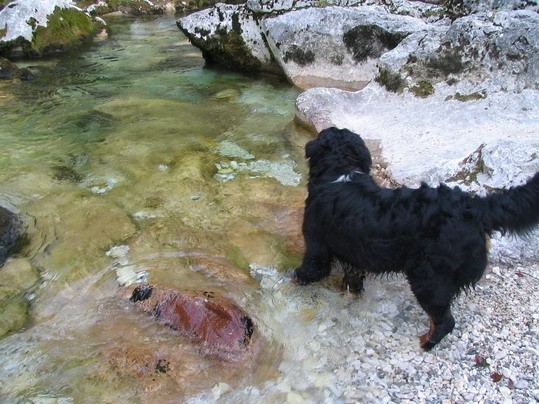 Dolina Voje, 6.9.2006 - foto povečava