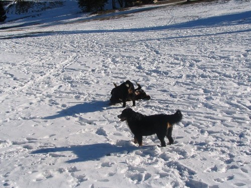 Sorica, 28.12.2006 - foto povečava