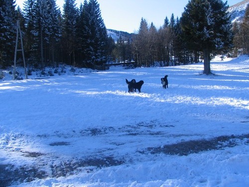 Sorica, 28.12.2006 - foto povečava